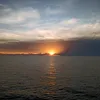 seajuander