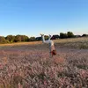 linneafloren1