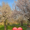 ismayil_oo2