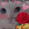 quocphong011