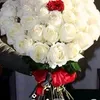 zaman.qamar