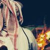 al3nzyy84