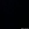 mousv_mo