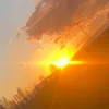 diegobartolomei12
