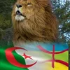 nordineazouzen
