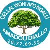 AmadouD1132_Ñalaande_Jallo