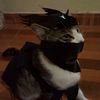 oatmealcat8