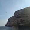 danielle_roussy123