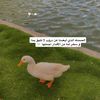 h2050020