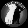 darkitten079