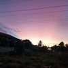 chandel_oficial
