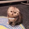 eunnoor_