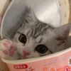 isaa_wubblybuns