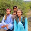 zeeshan.haider7446