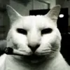 memekoche