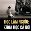 chuabenhtangoc