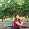 thuykieu1232_