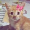 nrliyana_14