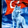 bozkurt.06363