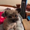 sherryfields8