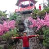 asep51737920747805