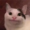 kimkim_._._