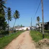 sp_reu