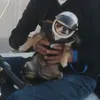 pepitoleonardi