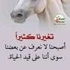 user5379844135024