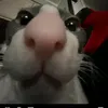juandani_48