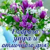 elena__1765