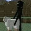 usertwmwstciyb99
