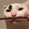 omkringow