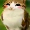 l_pusheen.com_l