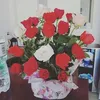 1bernfvmsj