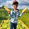 kleversonjunior9