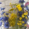 yellowbee003