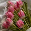 rosnani_7264