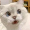 Lê Văn Tèo