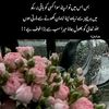 maha.ali802