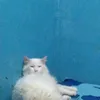 nadyais_
