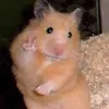 myyyysrhah