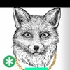 dieserfuchs1