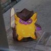 sugihbejo