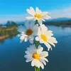 userr38tqd53y4