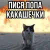 miss_elya_01