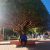 nicolascalisaya45
