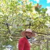 deluna081