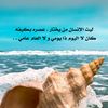sarah00q8