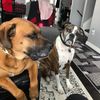 olivers_mum2